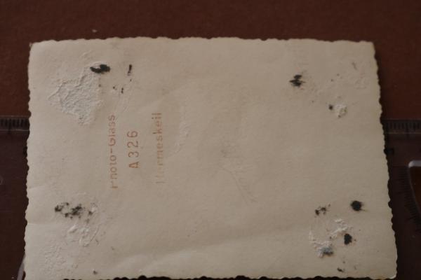 altes Foto - drei R.A.D. Führer - zwei mit Orden - Abteilung 204